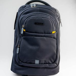 Gray Aodasi Trolley