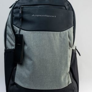 Grey aspensport laptop bag