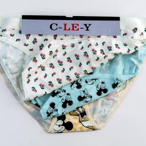 Assorted girls panties 3pcs
