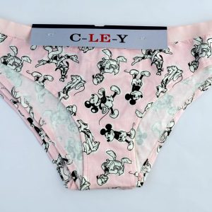 Assorted girls panties 3pcs