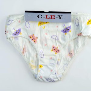 Assorted girls panties 3pcs